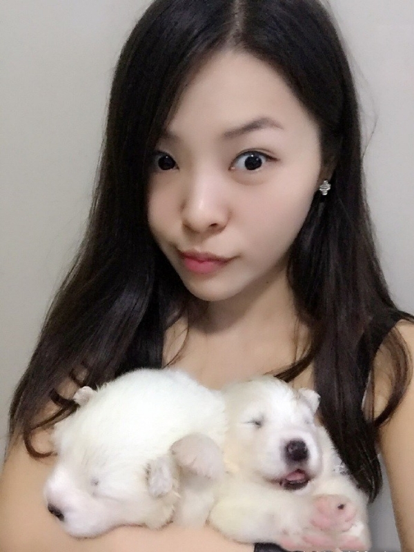 如果可以的第三张照片--邵阳相亲服务中心