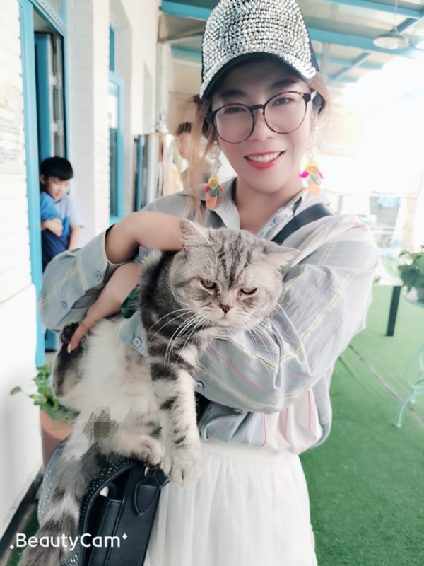 小黑猫的第一张照片--邵阳相亲服务中心