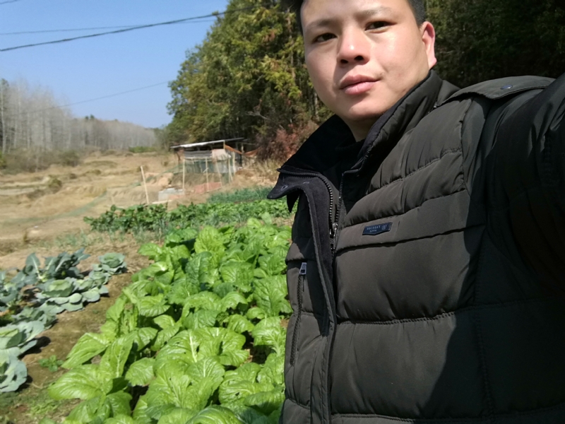 倔强的驴的第一张照片--邵阳相亲服务中心