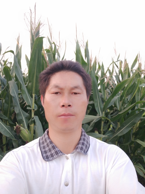 四海游龙的第一张照片--邵阳相亲服务中心