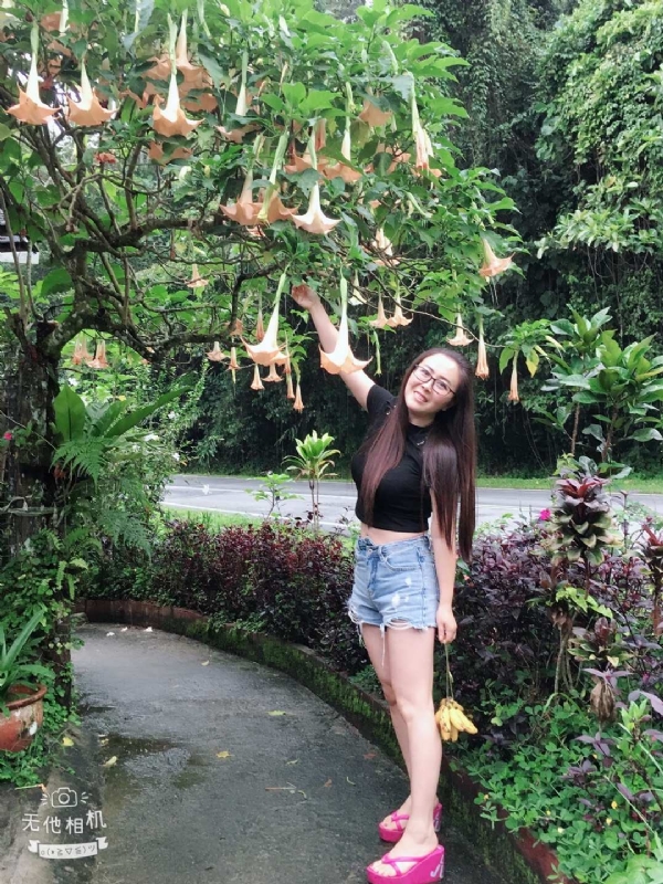 离异单身无子的第二张照片--邵阳相亲服务中心
