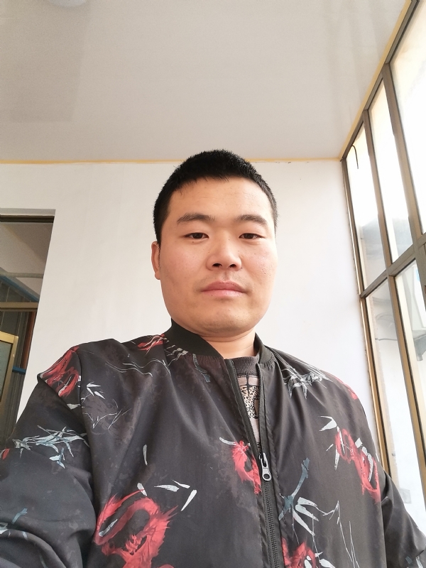 会飞的猪的第一张照片--邵阳相亲服务中心