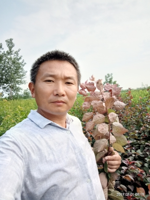 孩子爸的第二张照片--邵阳相亲服务中心