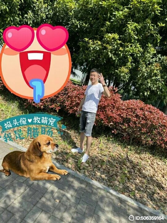 我若不坚强谁替我勇敢的第一张照片--邵阳相亲服务中心