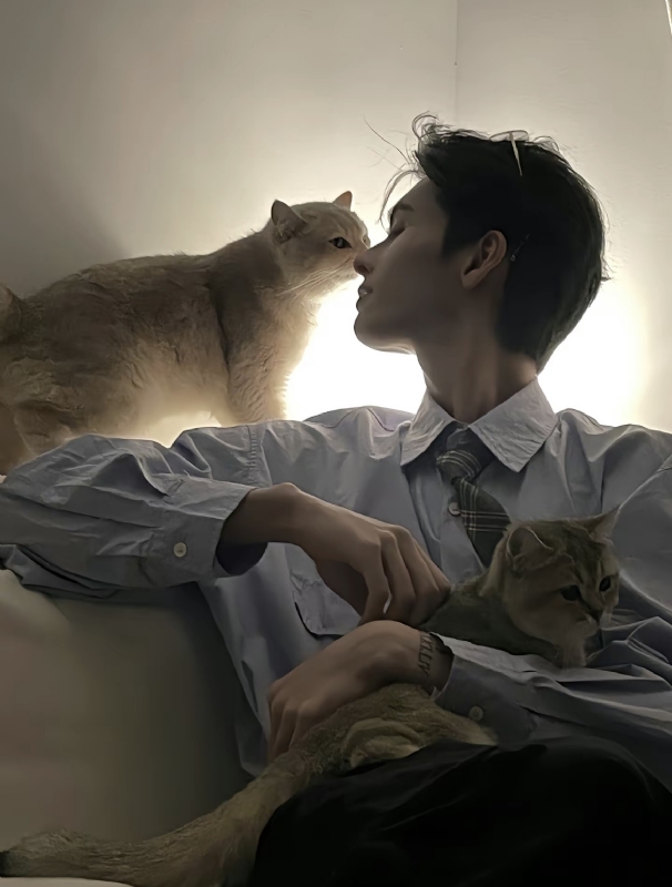 怪猫的第一张照片--邵阳相亲服务中心